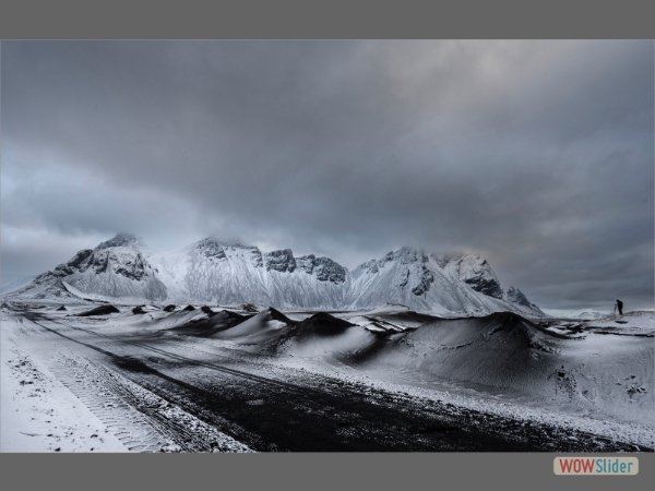 Capturing the Moment - Linda Marshall - Ralph Dudkett Award - PDI