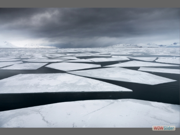 Fractured Arctic Shelf Ice - Fiona Adamson - Andrea Hargreaves Award - Colour Print