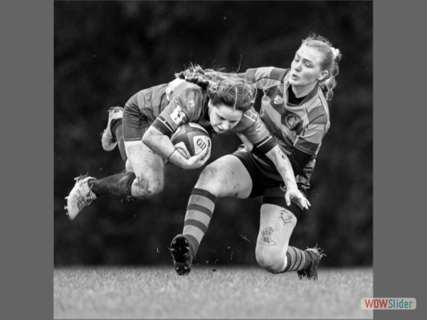 Got You - Nick Alston