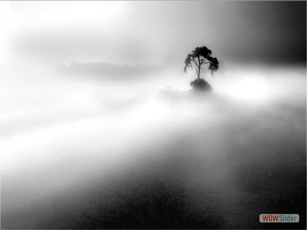 Island in the Misty Dawn - Kevin Williams