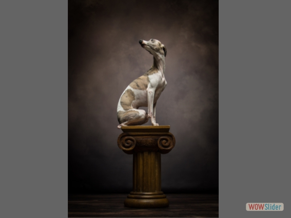 Kemi - Victoria Andrews - Andrea Hargreaves Award - PDI