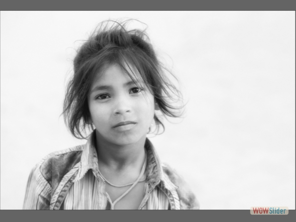 Natural Beauty - Roy Essery - Ralph Duckett Award - Mono Print