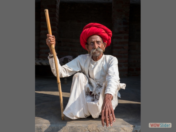 Shepherd - Paul Wild - Clive Tanner Award - PDI