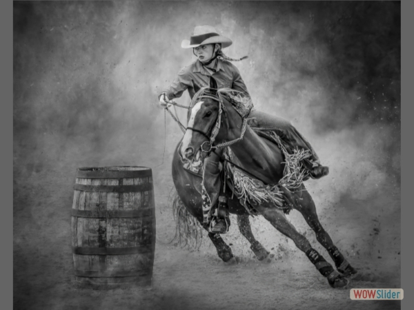 The Barrel Racer - Victoria Andrews